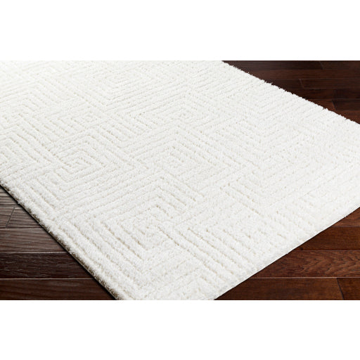 Surya Nomadic NMC-2314 Ivory Modern  Rug