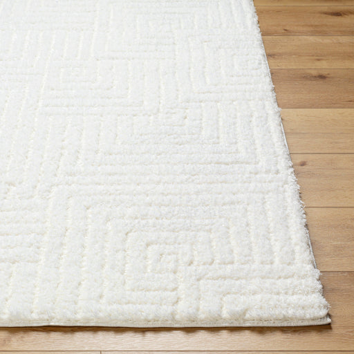 Surya Nomadic NMC-2314 Ivory Modern  Rug