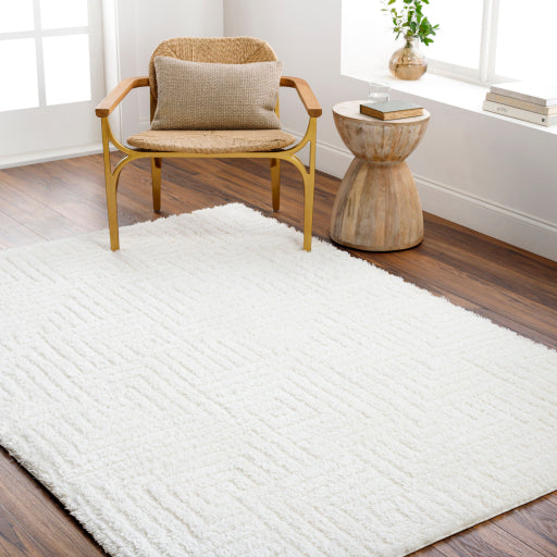 Surya Nomadic NMC-2314 Ivory Modern  Rug