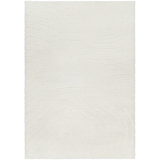 Surya Nomadic NMC-2315 Ivory Modern  Rug
