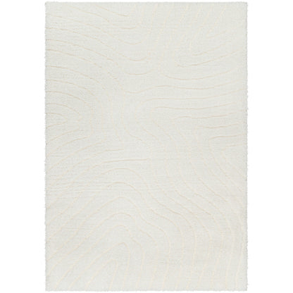 Surya Nomadic NMC-2315 Ivory Modern  Rug