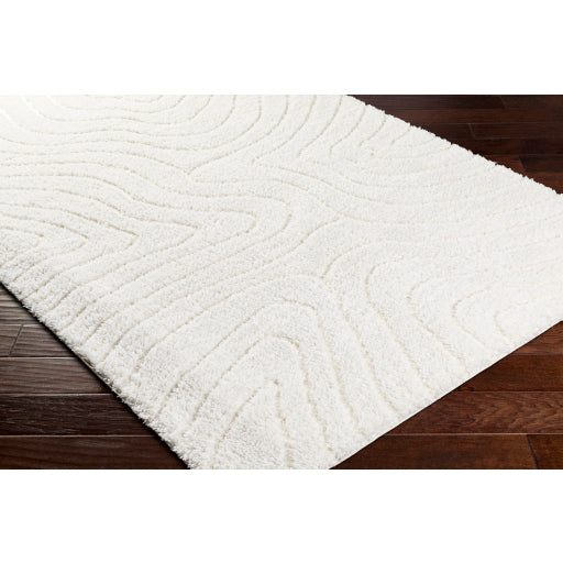 Surya Nomadic NMC-2315 Ivory Modern  Rug