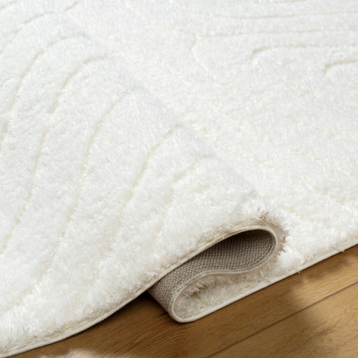 Surya Nomadic NMC-2315 Ivory Modern  Rug