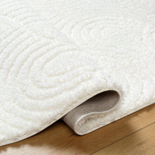 Surya Nomadic NMC-2316 Ivory Modern  Rug