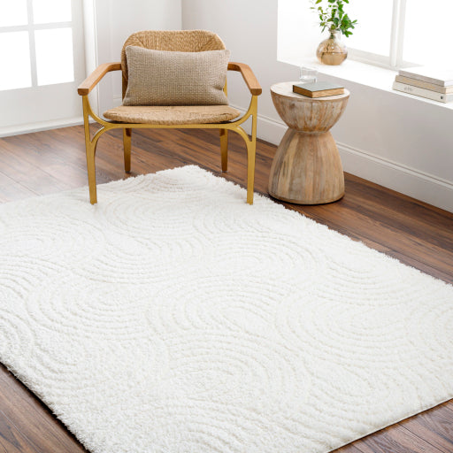 Surya Nomadic NMC-2316 Ivory Modern  Rug