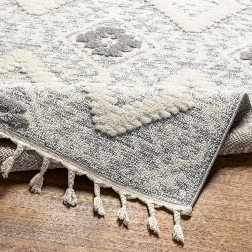 Surya Nora NOA-2303 Cream Rustic  Rug