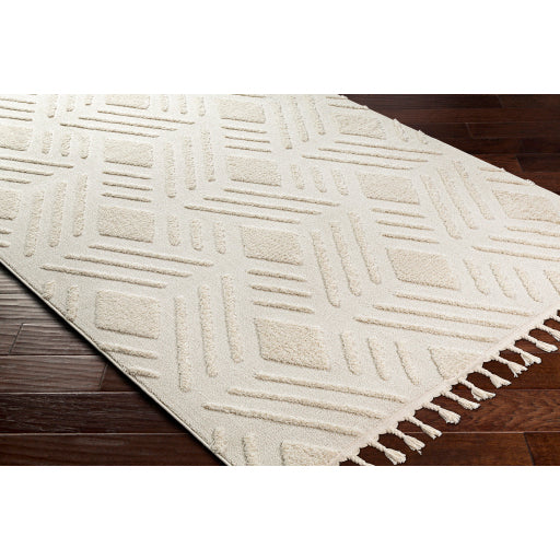 Surya Nora NOA-2306 Light Gray Global  Rug