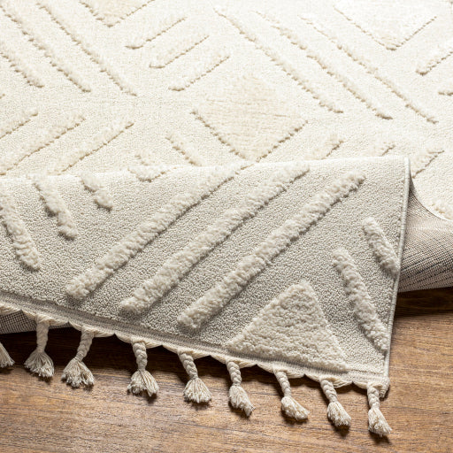 Surya Nora NOA-2306 Light Gray Global  Rug