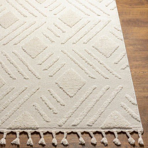 Surya Nora NOA-2306 Light Gray Global  Rug