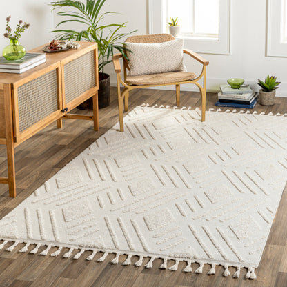Surya Nora NOA-2306 Light Gray Global  Rug