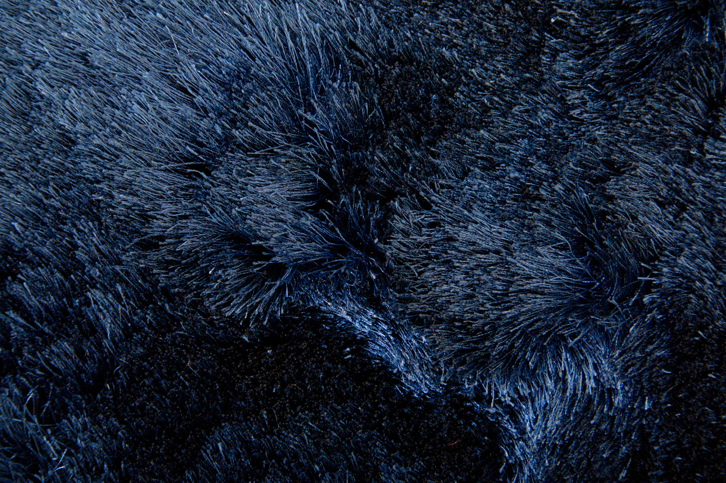 Feizy Indochine 4550F Dark Blue  Transitional Hand Tufted Rug