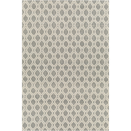 Surya Nevada NVD-2300 Cream Modern  Rug