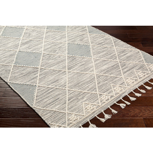 Surya Norwood NWD-2307 Charcoal Global  Rug