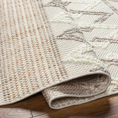 Surya New Delhi NWH-2309 Light Beige Global  Rug