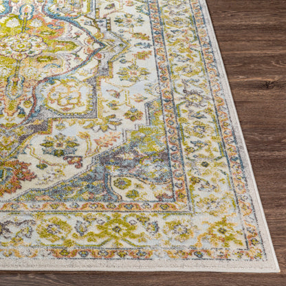 Surya New Mexico NWM-2337 Olive Traditional  Rug