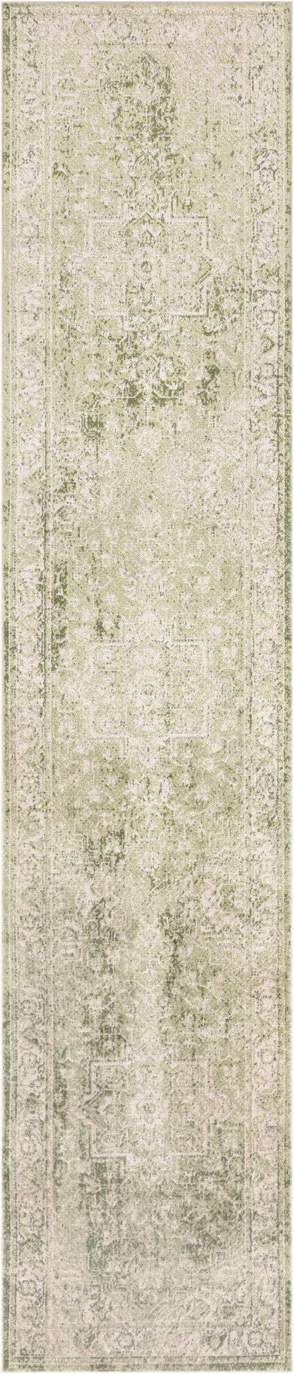 Nourison Home Astra Machine Washable ASW12 Ivory Green Traditional Power-loomed Rug