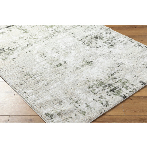 Surya Osaka OKK-2308 Light Beige Modern  Rug