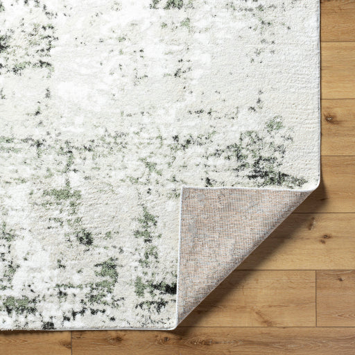 Surya Osaka OKK-2308 Light Beige Modern  Rug