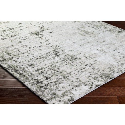 Surya Osaka OKK-2309 Light Beige Modern  Rug