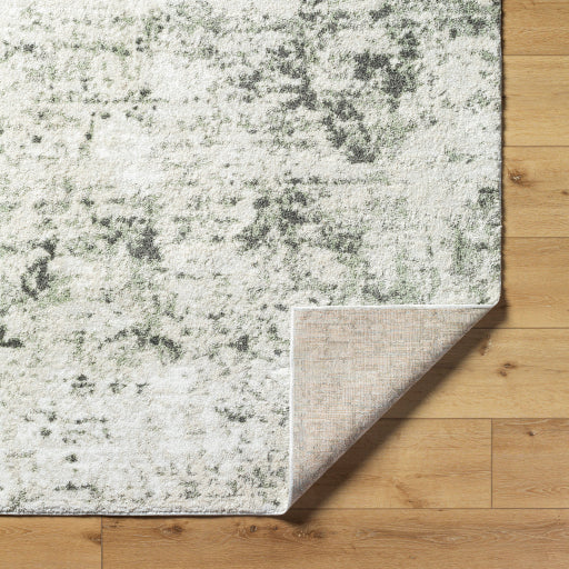 Surya Osaka OKK-2309 Light Beige Modern  Rug