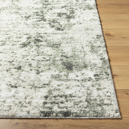 Surya Osaka OKK-2309 Light Beige Modern  Rug