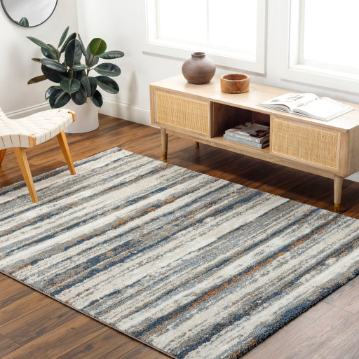 Surya Osaka OKK-2311 Gray Modern  Rug
