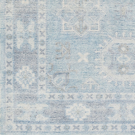 Surya Oregon ORG-2304 Blue Traditional  Rug