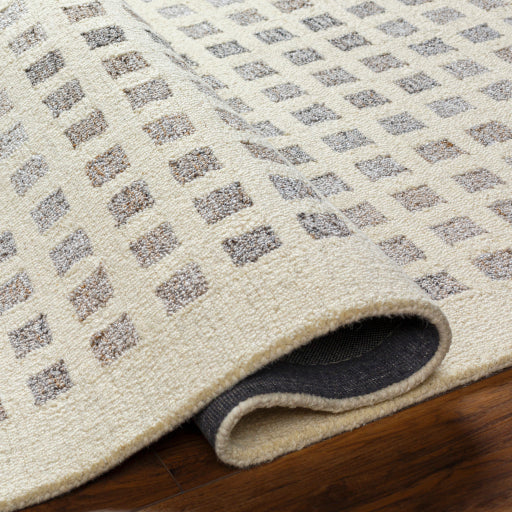 Surya Ottawa OTW-2300 Beige Modern  Rug