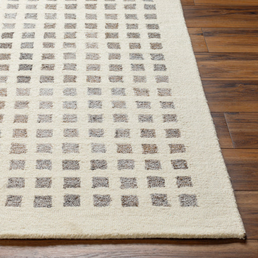 Surya Ottawa OTW-2300 Beige Modern  Rug