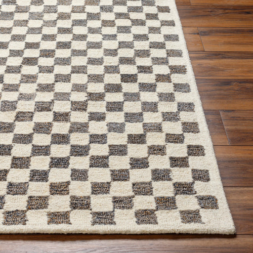 Surya Ottawa OTW-2301 Beige Modern  Rug