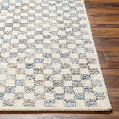 Surya Ottawa OTW-2305 Beige Modern  Rug