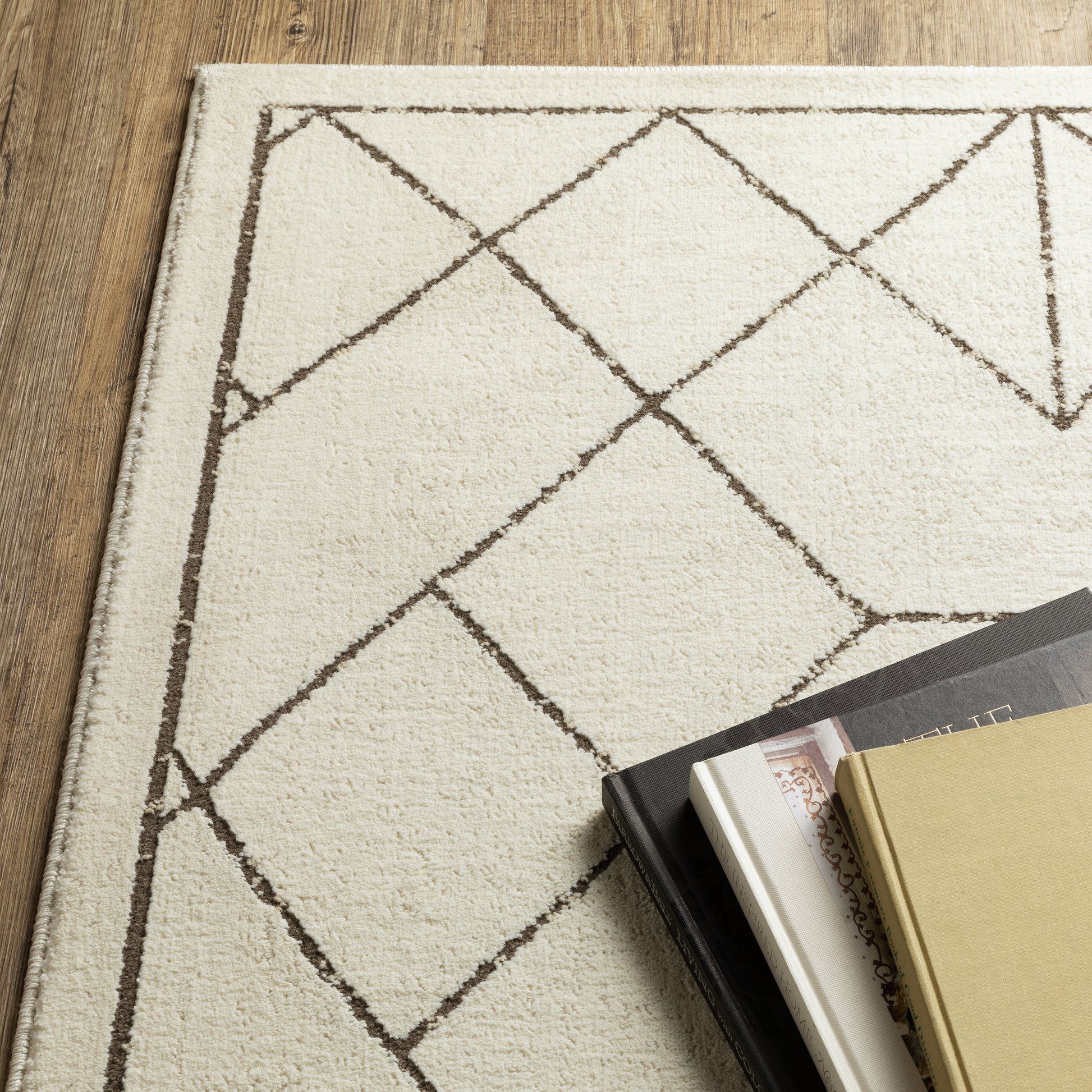 Oriental Weavers Raylan  Ivory Taupe Modern & Contemporary