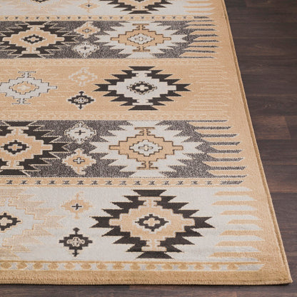 Surya Paramount PAR-1045 Gray Rustic  Rug