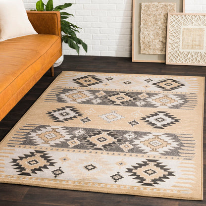 Surya Paramount PAR-1045 Gray Rustic  Rug