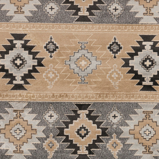 Surya Paramount PAR-1045 Gray Rustic  Rug