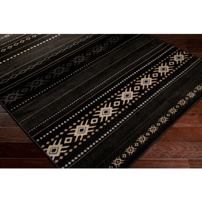 Surya Paramount PAR-1047 Black Rustic  Rug