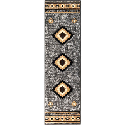 Surya Paramount PAR-1094 Charcoal Rustic  Rug