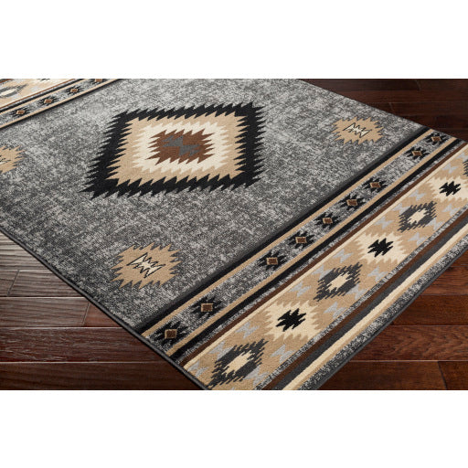 Surya Paramount PAR-1094 Charcoal Rustic  Rug