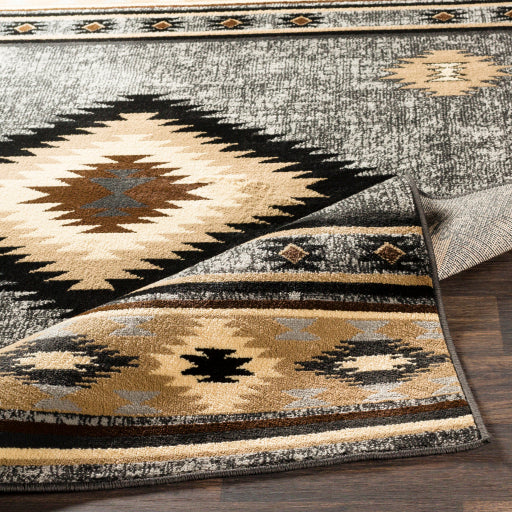 Surya Paramount PAR-1094 Charcoal Rustic  Rug