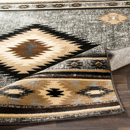 Surya Paramount PAR-1094 Charcoal Rustic  Rug