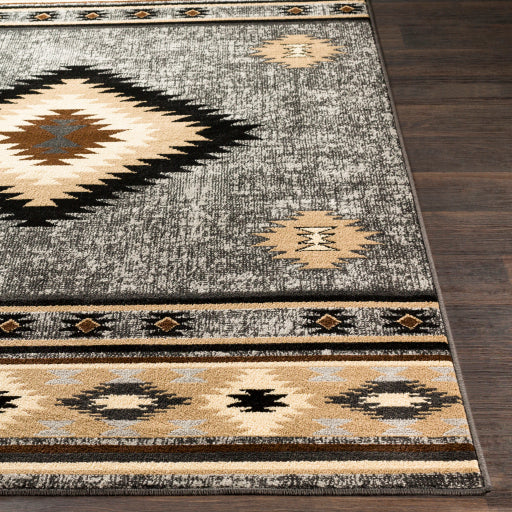 Surya Paramount PAR-1094 Charcoal Rustic  Rug