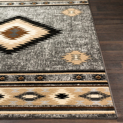 Surya Paramount PAR-1094 Charcoal Rustic  Rug