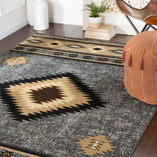 Surya Paramount PAR-1094 Charcoal Rustic  Rug