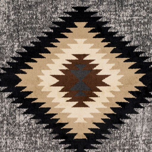 Surya Paramount PAR-1094 Charcoal Rustic  Rug