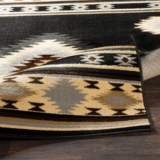 Surya Paramount PAR-1095 Black Rustic  Rug