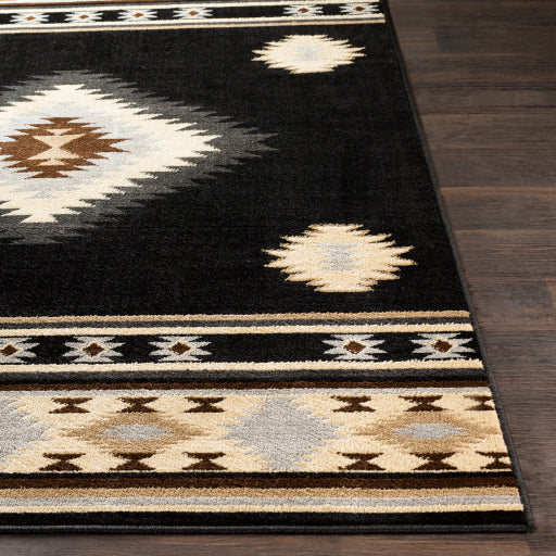 Surya Paramount PAR-1095 Black Rustic  Rug