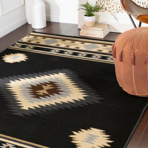 Surya Paramount PAR-1095 Black Rustic  Rug