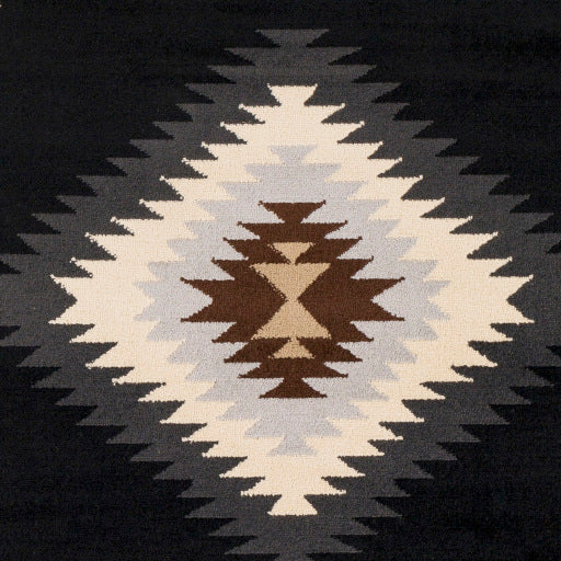 Surya Paramount PAR-1095 Black Rustic  Rug