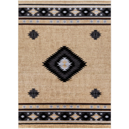 Surya Paramount PAR-1096 Black Rustic  Rug