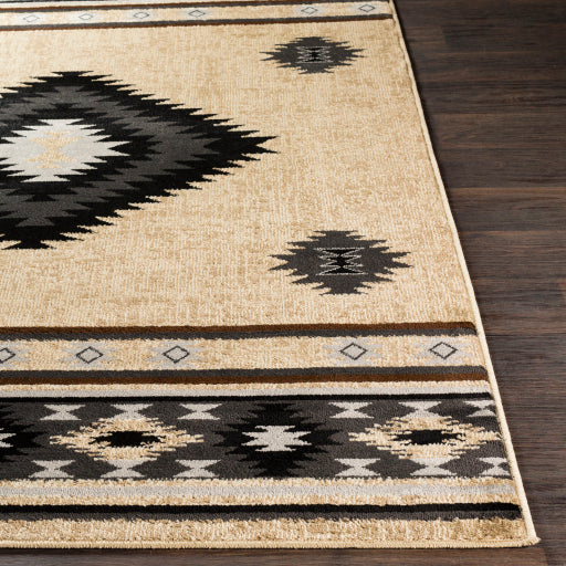 Surya Paramount PAR-1096 Black Rustic  Rug